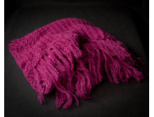 ��������� ������ - �������!