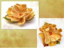 ������ ������ - �����.jpg