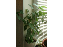 ���� ������. �������� � ���������� :-) ���� 2010.