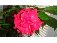 ������ 2011 ���� �� ��������