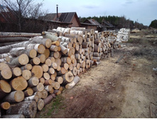 ����� �������