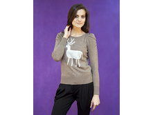 ������(2606) 850�.