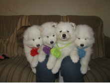 ���� ��� ������ 058.jpg