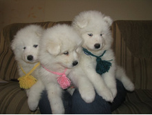 ���� ��� ������ 066.jpg