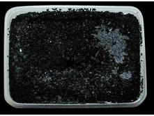 ���� ������ ������