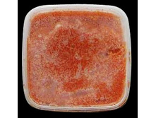 ���� ��������� ������ ���������