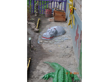 ����������� 056.jpg