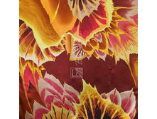 ������� ����� �-90.jpg