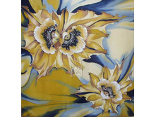 ���� 2 �-90.jpg