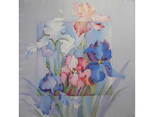 �������� 2.jpg