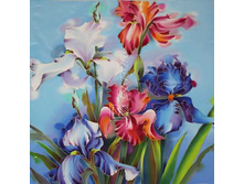 �������� �-70.jpg