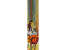 ��������� ����.jpg