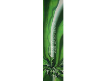 ���������� 2.jpg