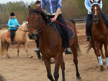 x_c1649053.jpg