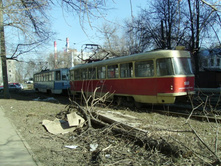 ����������� 686.jpg