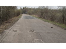 ������ ������ �� ����������))) (�) ���xXC