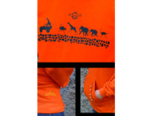 ������ ���