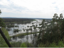 Resize of IMG_8289.JPG