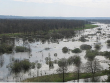 Resize of IMG_8290.JPG