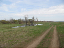 Resize of IMG_8292.JPG