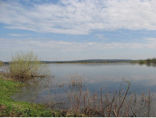 Resize of IMG_8303.JPG