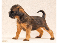 �������� ��������