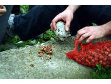 �ģ� ������ � �������