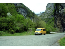 ������ ����