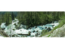 ������ ���� ������� �����