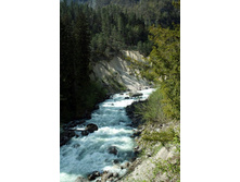 ������ ����� ������ ������