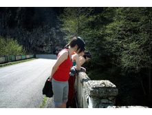 ������ ����