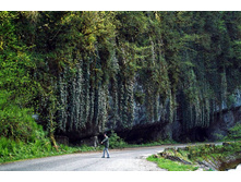 ���� 3-�� �����