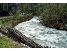 ������� ��� ��