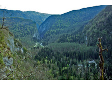 ������ ������, ��������� ������