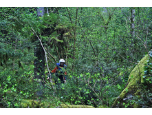 ����� � ������ � �1