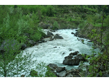 �������. ������ ������, ����� ����