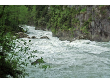 �1 ������