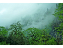 ��� ��� �� ��� � ���� ��� ������