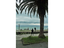 ����� ������� ������� ����