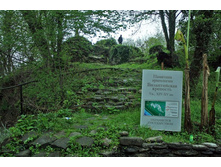 ����������� ��������� �� ������������