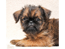 �������� ��������