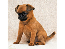 ����� �� ����