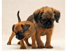 ����� � �����_L.jpg