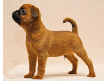 ����� �����.jpg