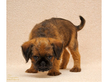 ����� ����_L.jpg