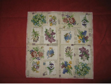 IMG_6364 (Large).JPG