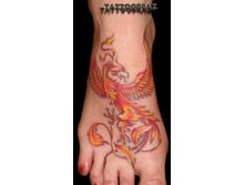 ���� �� ����.���� �� ������ ���-�����