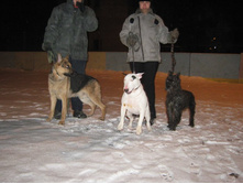 ����������� 096.jpg