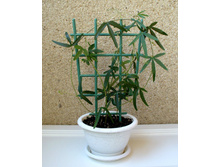 ���������� ������������