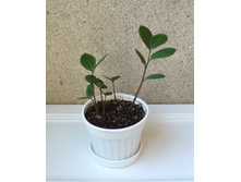 ������������